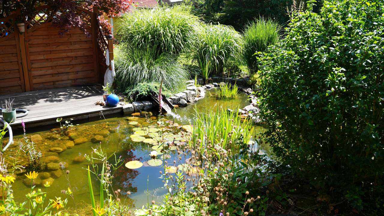 WOHNEN WIE IM URLAUB - EINFAMILIENHAUS MIT SCHÖNEM GARTEN; TEICH UND WHIRLPOOL IN SCHORTENS